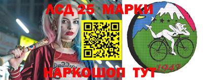 гидропоника Пушкино