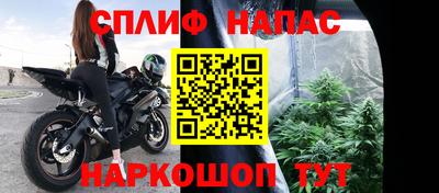 трава Пугачёв