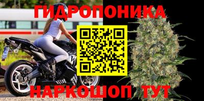 трава Пугачёв